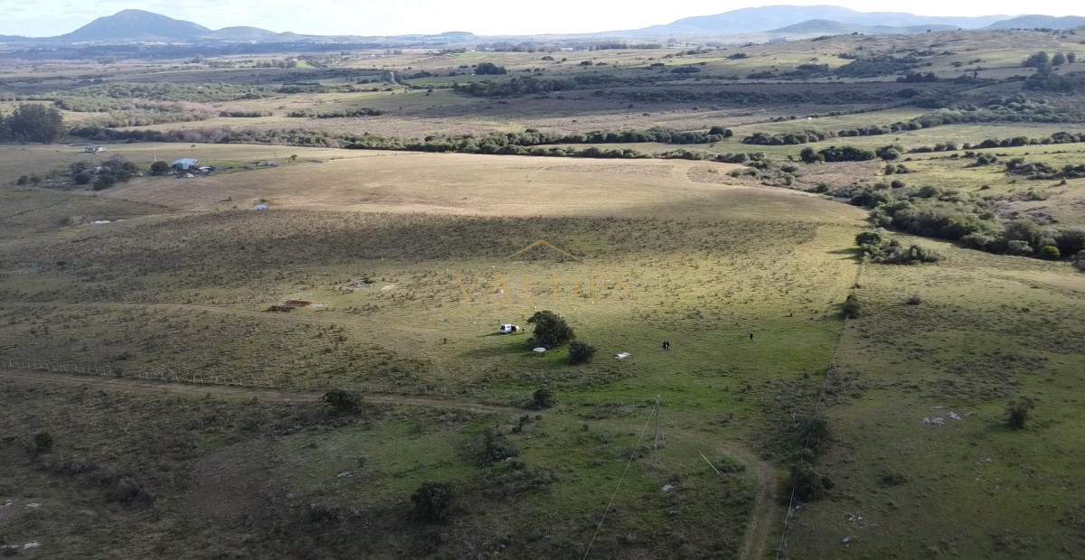 Chacra ID.5051 - Hermosa chacra a 15 Kilómetros del Mar, Pan de Azúcar, Entre cerros.