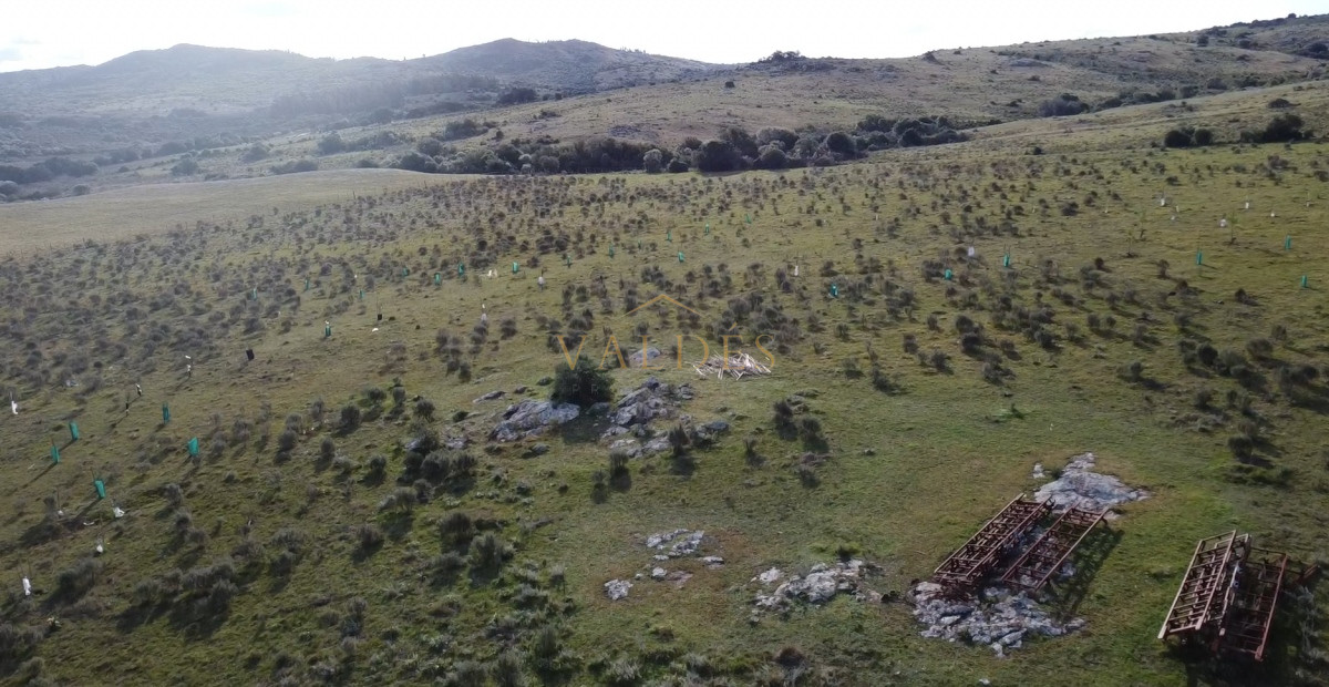 Chacra ID.5051 - Hermosa chacra a 15 Kilómetros del Mar, Pan de Azúcar, Entre cerros.