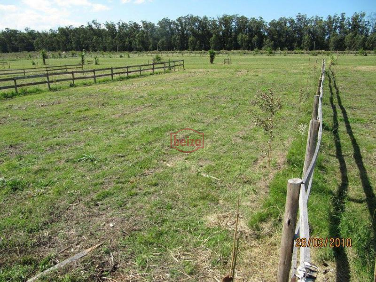 Terreno ID.167030/TERRENO-Bs-As-a-50-metros-del-mar - Oportunidad Terrenos en Alto de la Barra