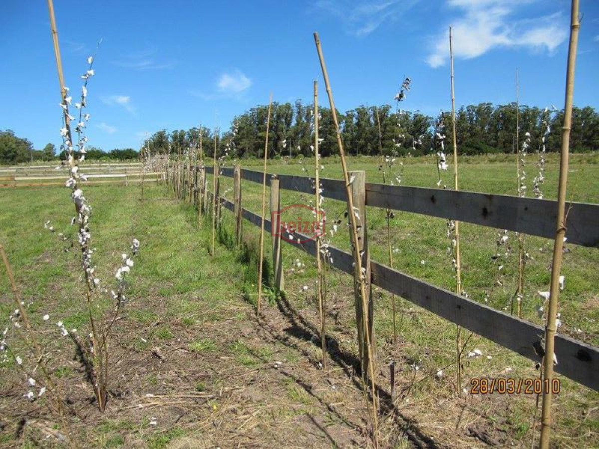 Terreno ID.167030/TERRENO-Bs-As-a-50-metros-del-mar - Oportunidad Terrenos en Alto de la Barra