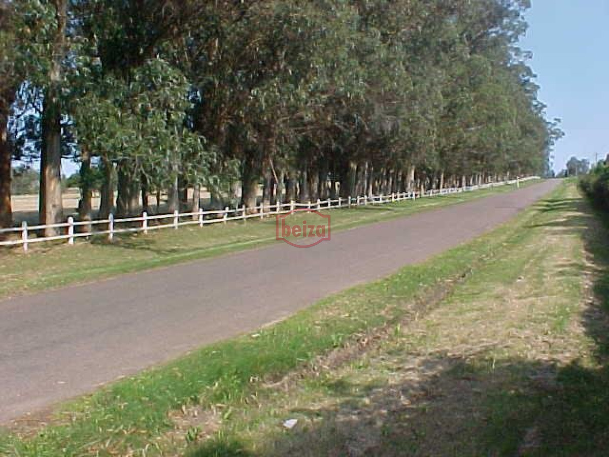 Terreno ID.167030/TERRENO-Bs-As-a-50-metros-del-mar - Oportunidad Terrenos en Alto de la Barra