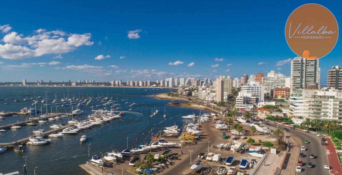 Espectacular vista al puerto de Punta del Este. 