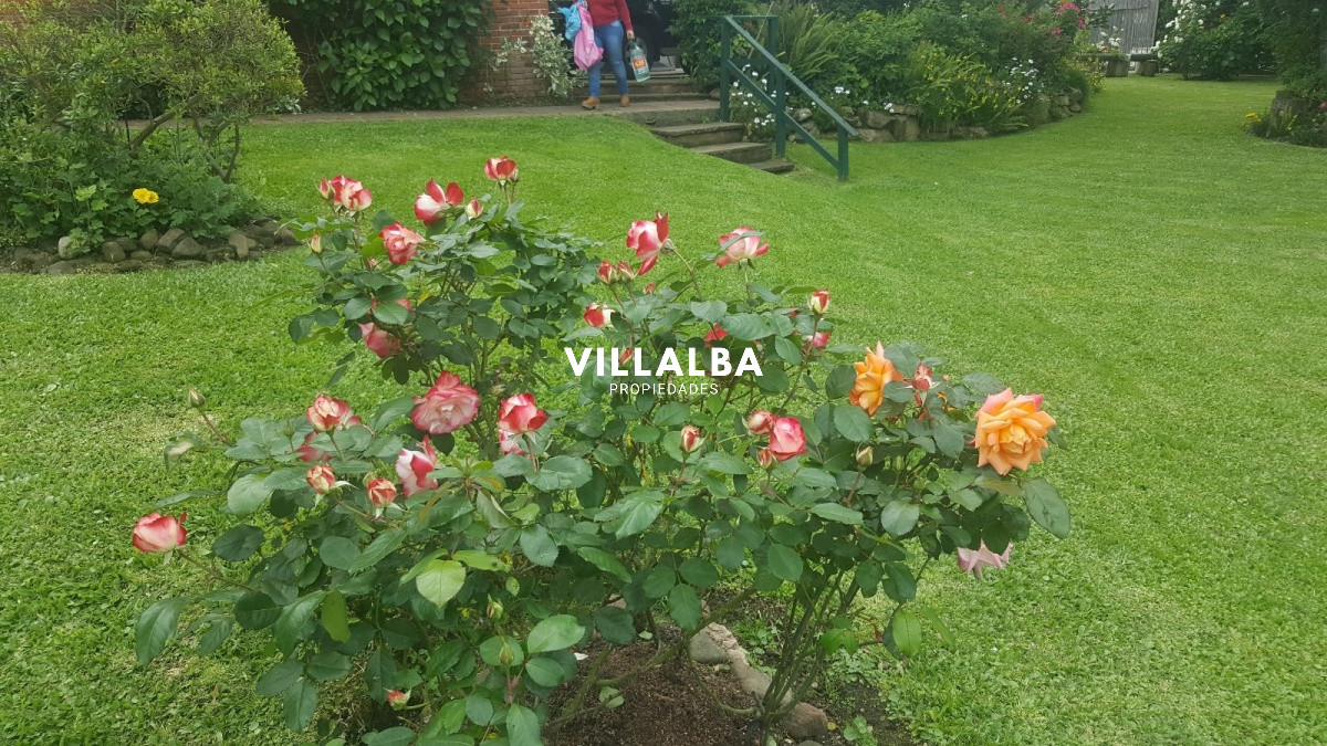 Apartamento ID.3670 - Venta casa de 6 dormitorios en  Punta del Este