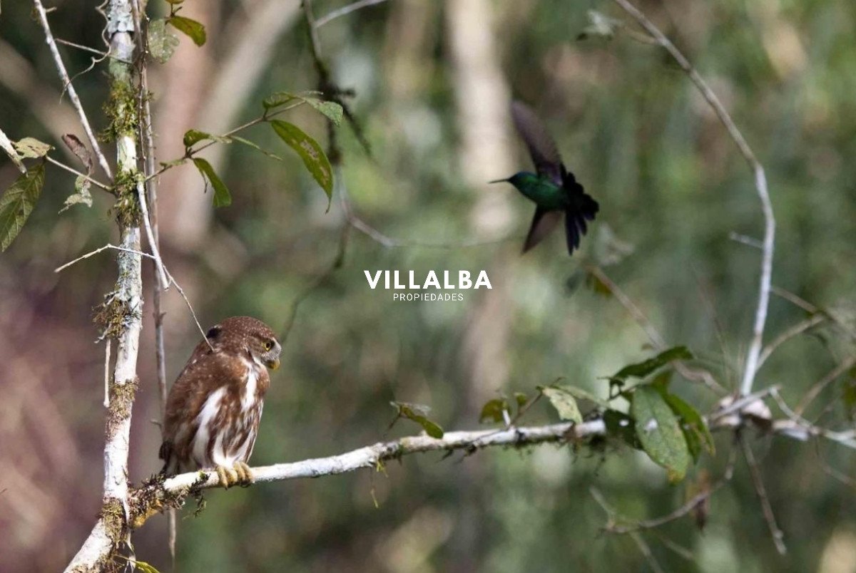 Chacra ID.2667 - Oportunidad de Inversión en Garzón, Uruguay - Vende Villalba Propiedades. 