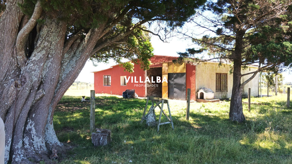 Chacra ID.4405 - Chacras del Carape- OPORTUNIDAD