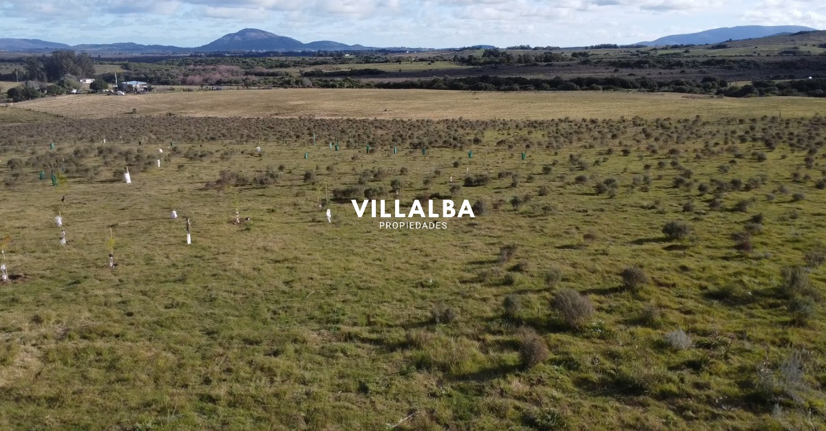 Apartamento ID.2331 - Hermosa chacra a 15 Kilómetros del Mar, Pan de Azúcar, Entre cerros.