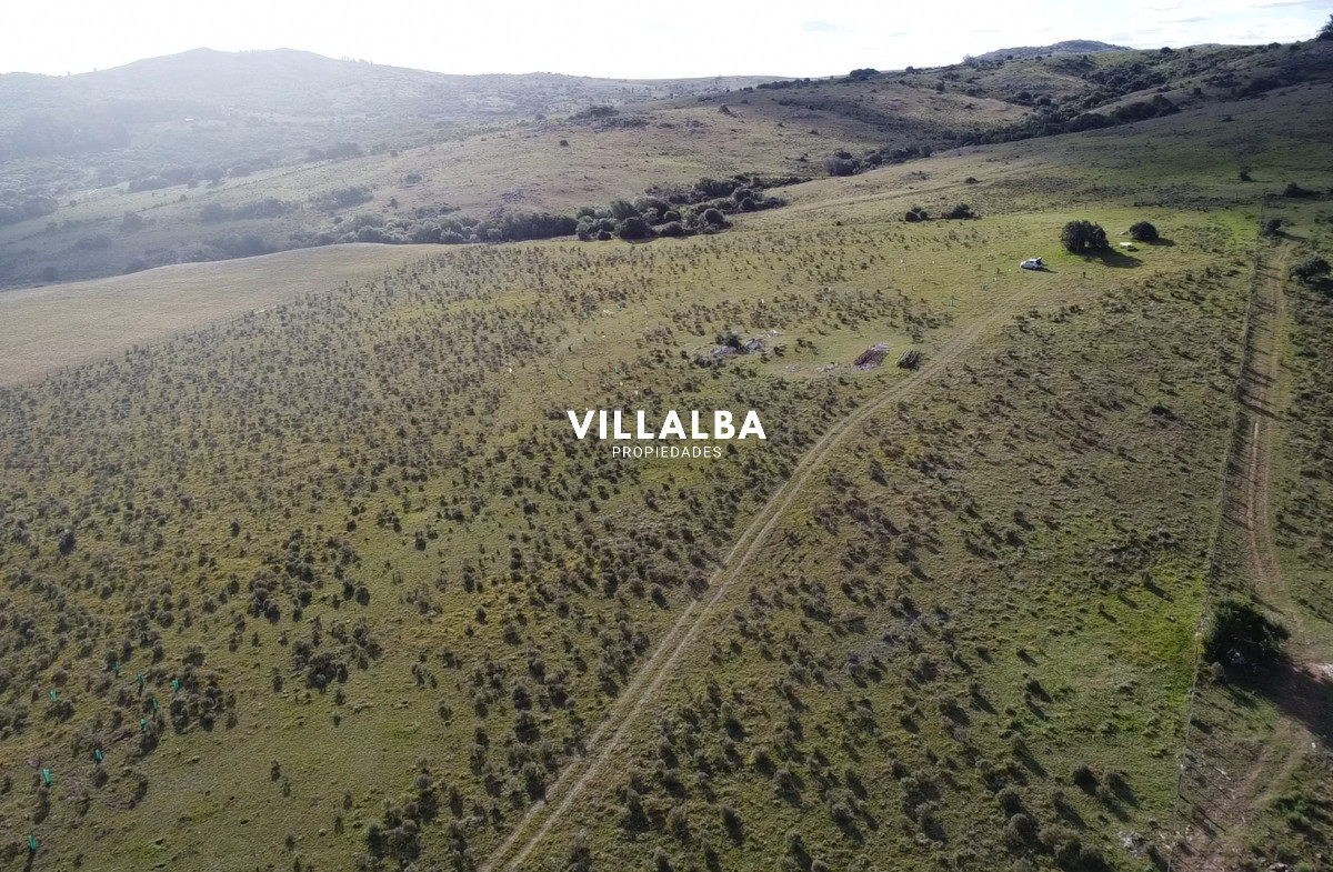 Apartamento ID.2331 - Hermosa chacra a 15 Kilómetros del Mar, Pan de Azúcar, Entre cerros.