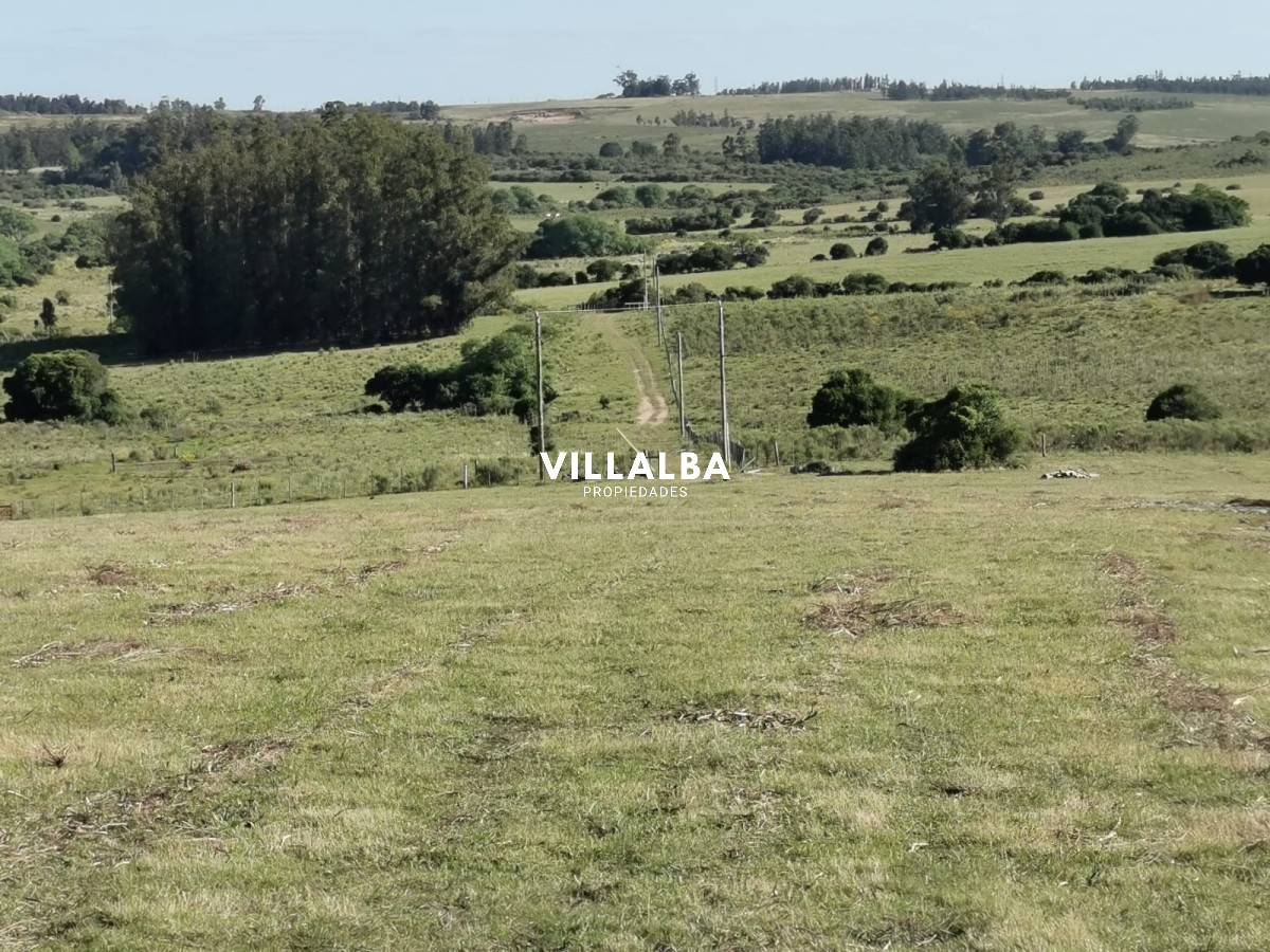 Apartamento ID.2331 - Hermosa chacra a 15 Kilómetros del Mar, Pan de Azúcar, Entre cerros.