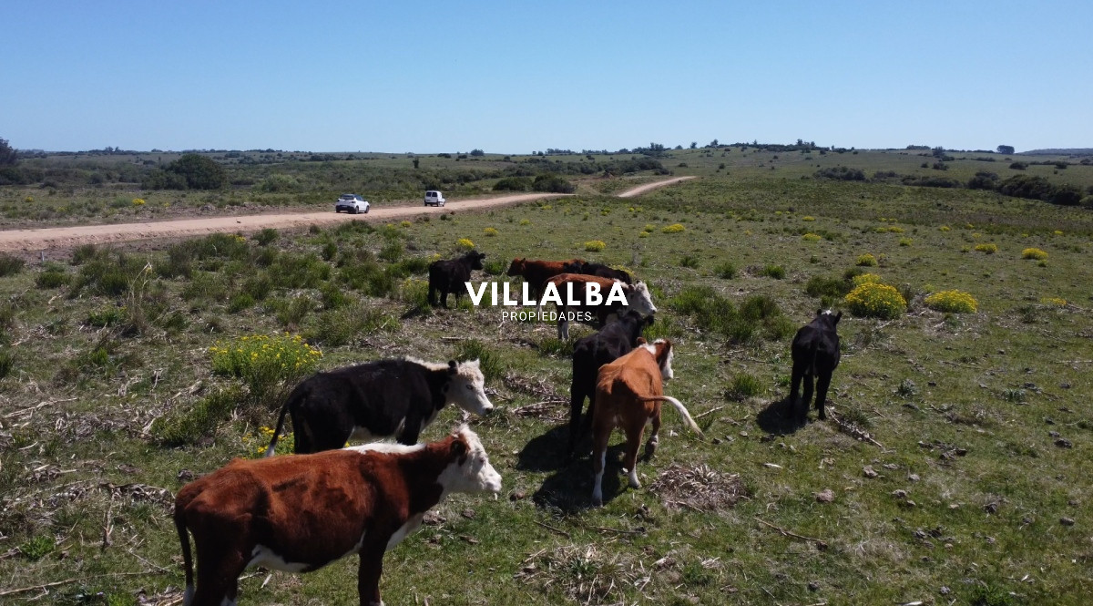 Apartamento ID.2658 - Oportunidad de Inversión en Garzón, Uruguay - Vende Villalba Propiedades. 