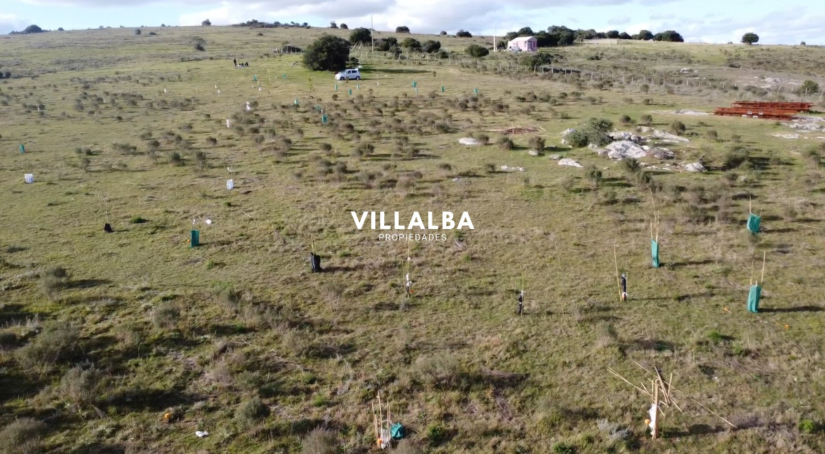 Apartamento ID.2331 - Hermosa chacra a 15 Kilómetros del Mar, Pan de Azúcar, Entre cerros.