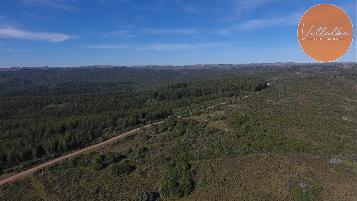Chacra ID.209 - Chacra de 5 hectáreas rodeado de plena naturaleza 