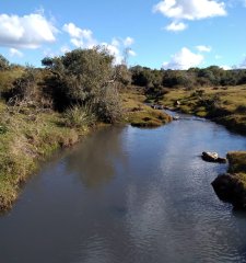 Chacras en Los cerros proximo a Aigua.
