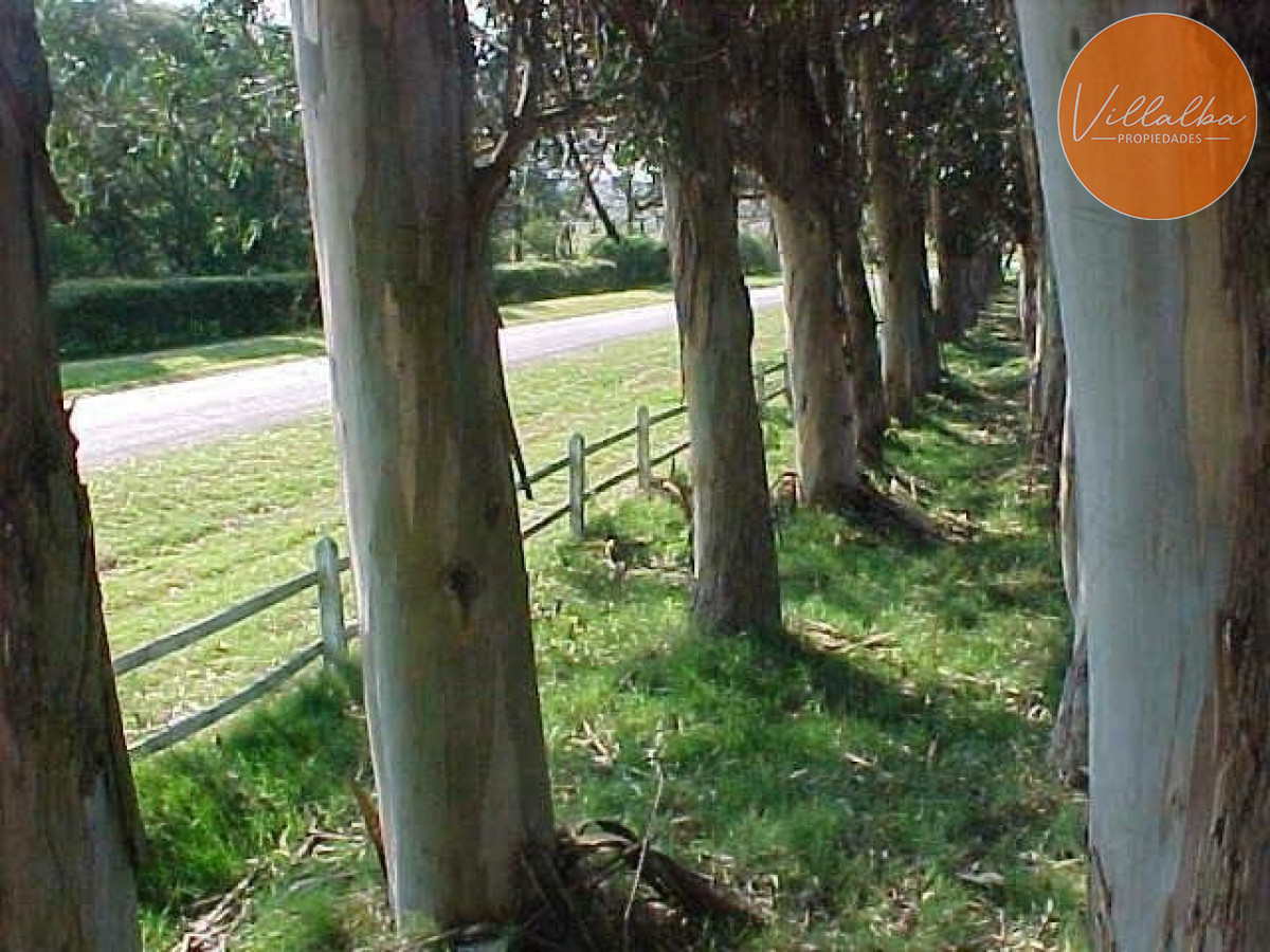 Camino Eguzquiza - GoPunta - Portal Inmobiliario de Punta del Este - Maldonado