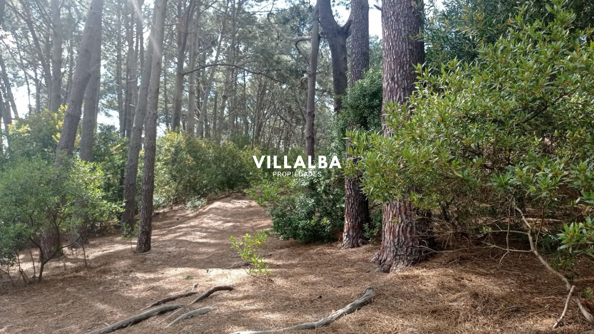 Terreno ID.3830 - Lotes en Venta- Ideal emprendimiento 