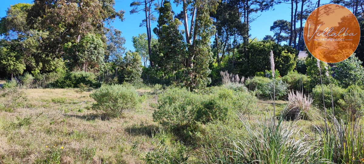Terreno ID.2651 - OPORTUNIDAD. Terreno En Venta - Zona Jardines De Córdoba 