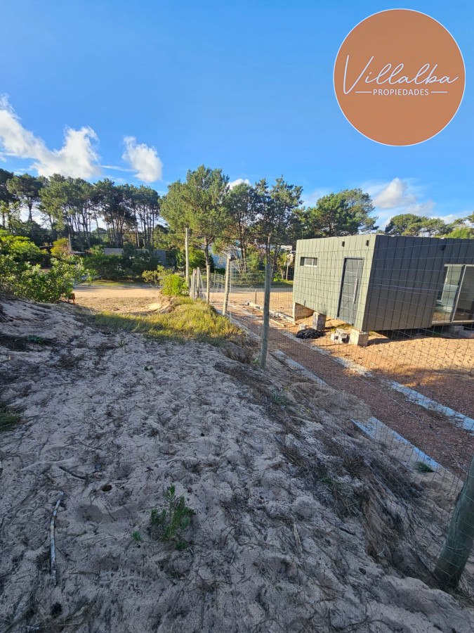 Chihuahua - GoPunta - Portal Inmobiliario de Punta del Este - Maldonado