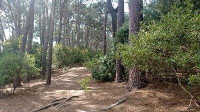 Lotes en Venta- Ideal emprendimiento 
