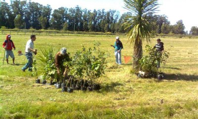 Terrenos en Alto de la Barra