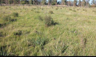 Oportunidad Terrenos en Alto de la Barra