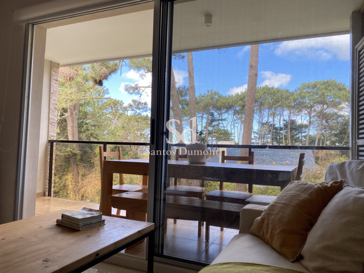 Apartamento ID.25790 - Venta Apartamento 2 dormitorios Punta del Este, con terraza y parrillero