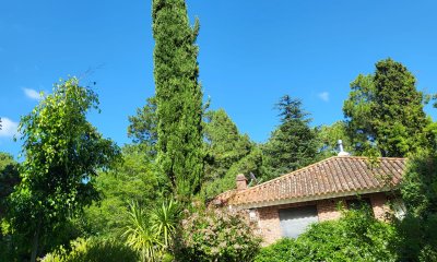VENTA - LAGUNA DEL SAUCE