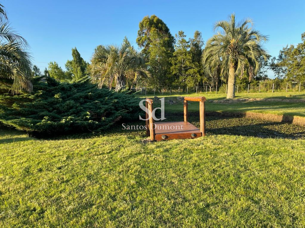 Chacra ID.24431 - 