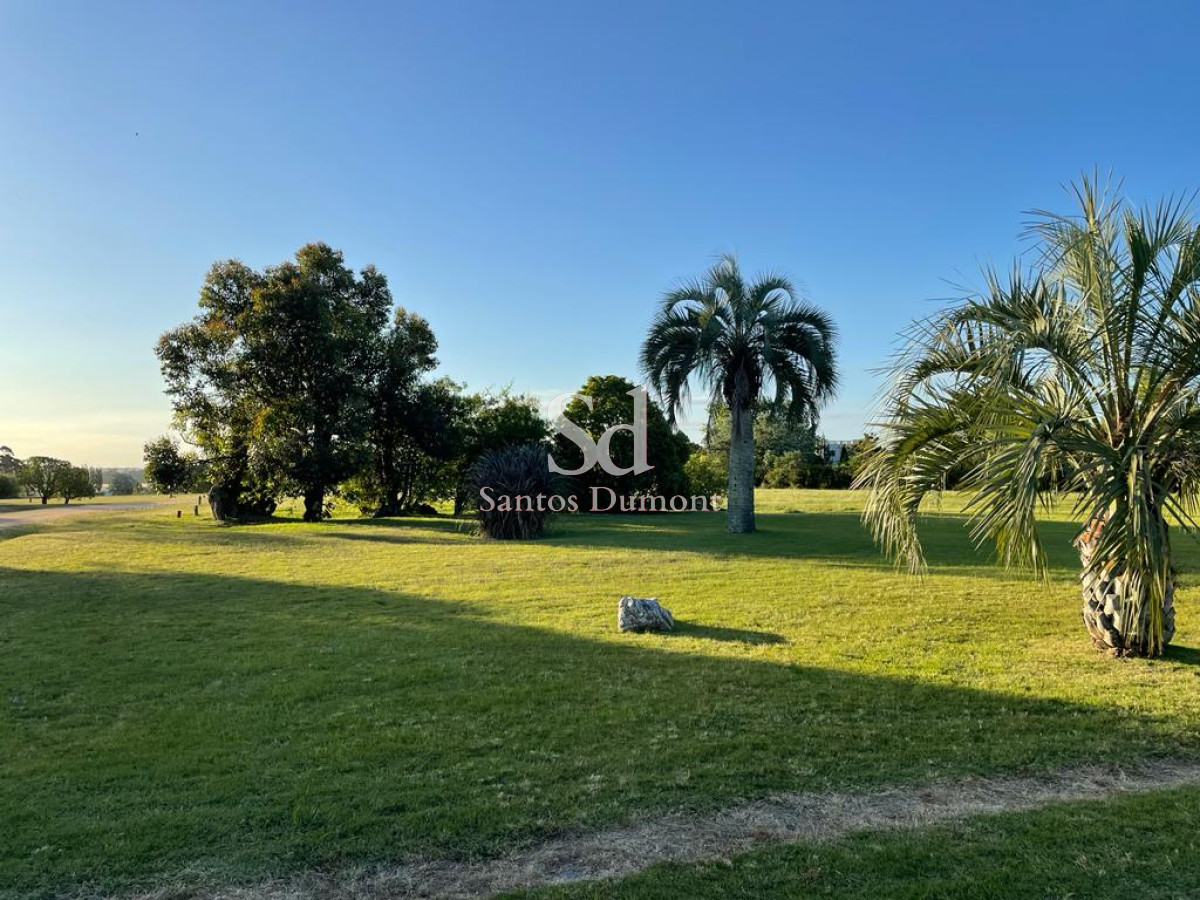 Chacra ID.24431 - 