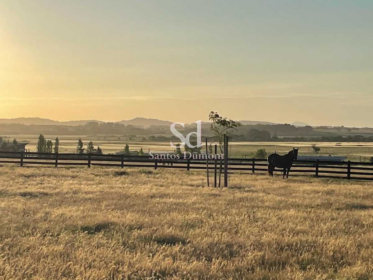 Chacra ID.24431 - 