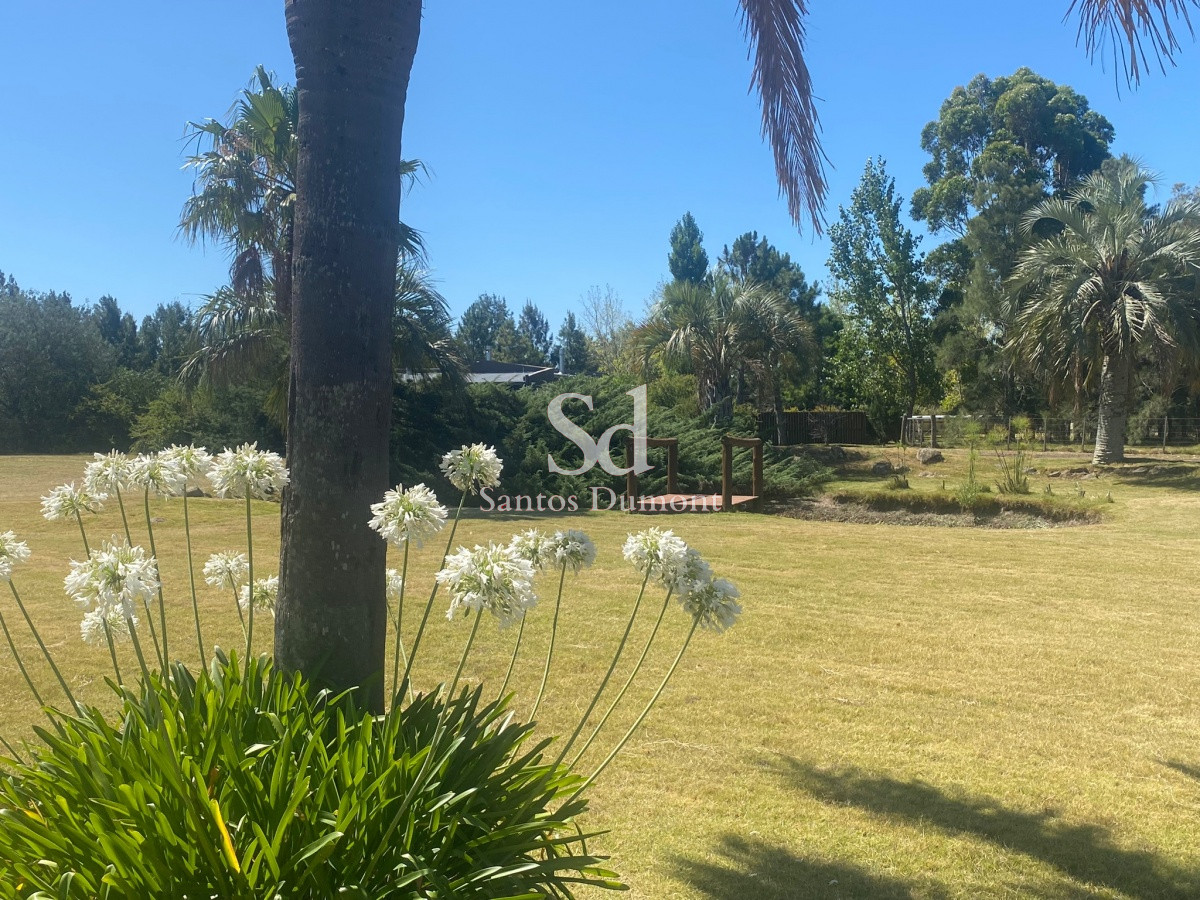 Chacra ID.24431 - 