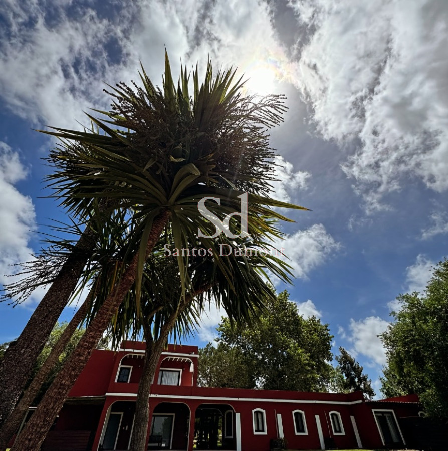 Chacra ID.25356 - VENTA - CHACRA SOBRE RUTA 104