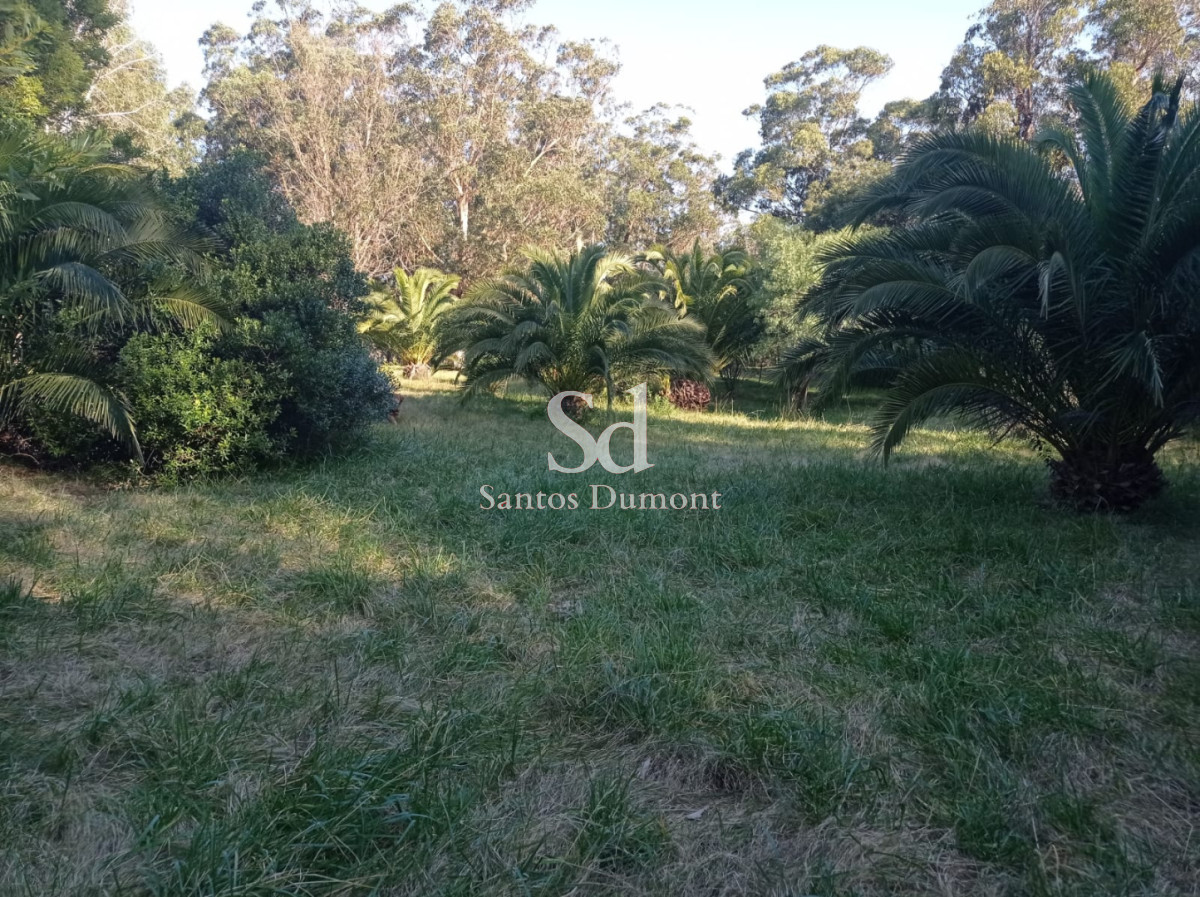 Chacra ID.25604 - BALNEARIO LAS FLORES - VENTA