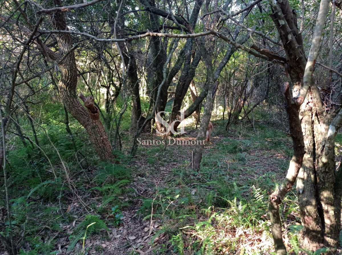 Chacra ID.25604 - BALNEARIO LAS FLORES - VENTA