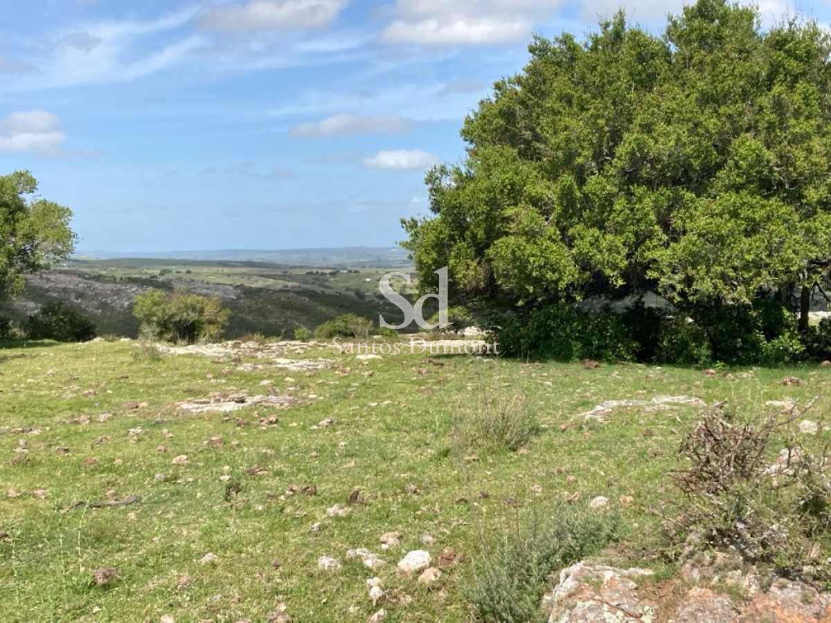 Chacra ID.24851 - EXCELENTE OPORTUNIDAD! VENTA CHACRA 5 has