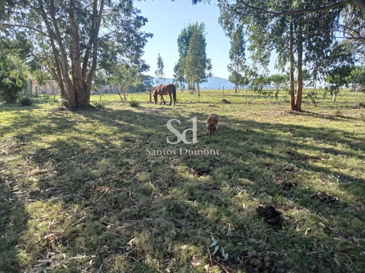 Chacra ID.25604 - BALNEARIO LAS FLORES - VENTA