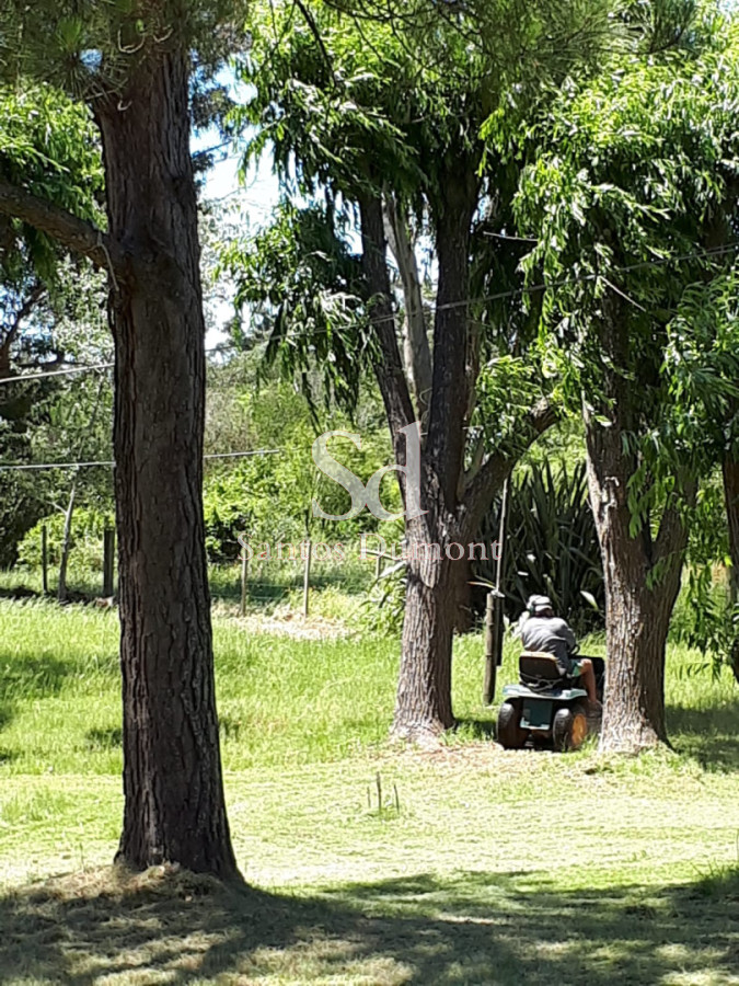 Chacra ID.25604 - BALNEARIO LAS FLORES - VENTA