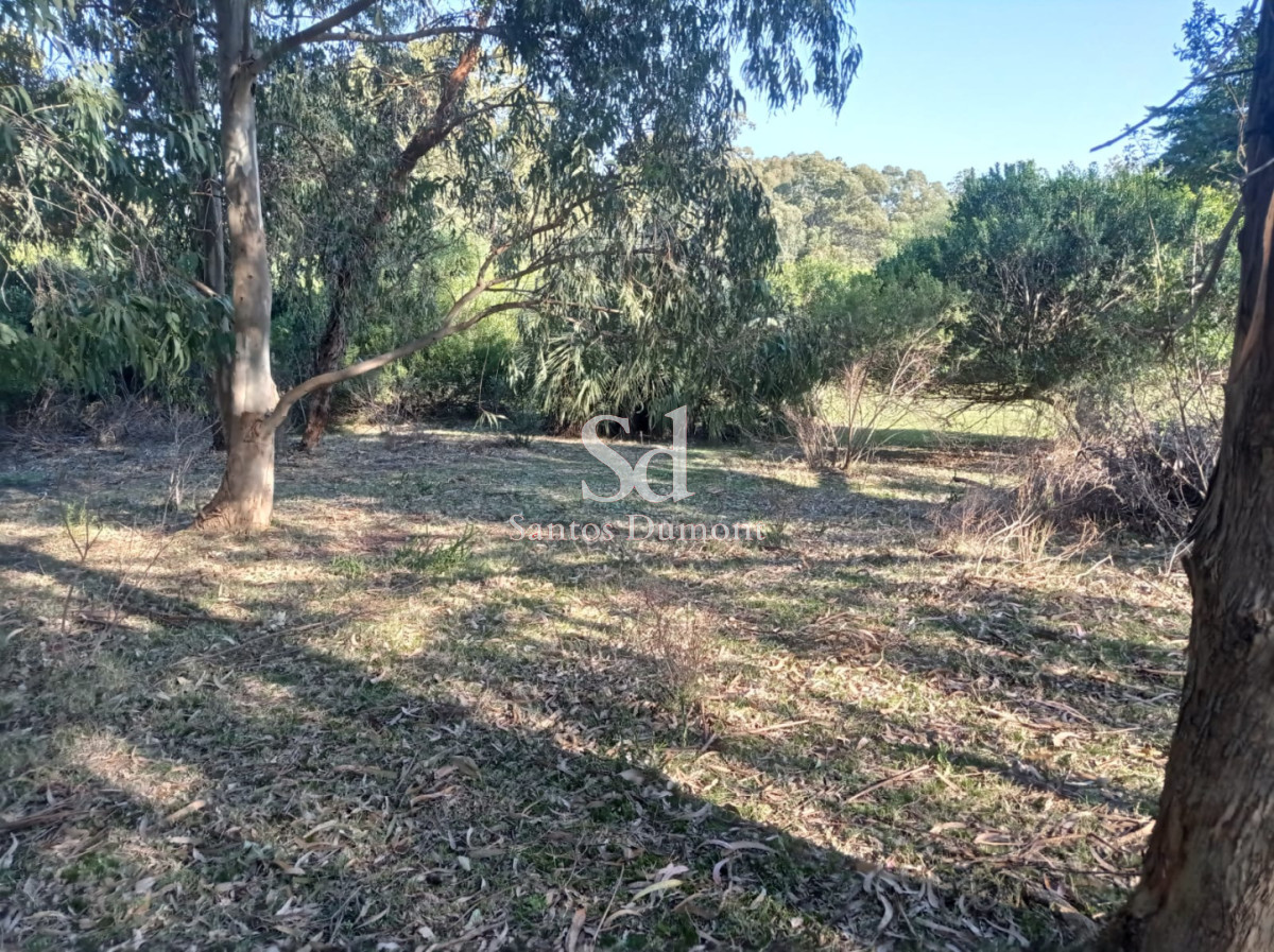 Chacra ID.25604 - BALNEARIO LAS FLORES - VENTA