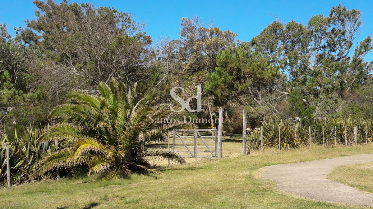 Chacra ID.25604 - BALNEARIO LAS FLORES - VENTA