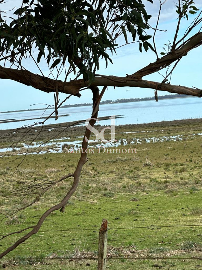 Campo Ref.24302 - VENTA - JOSE IGNACIO