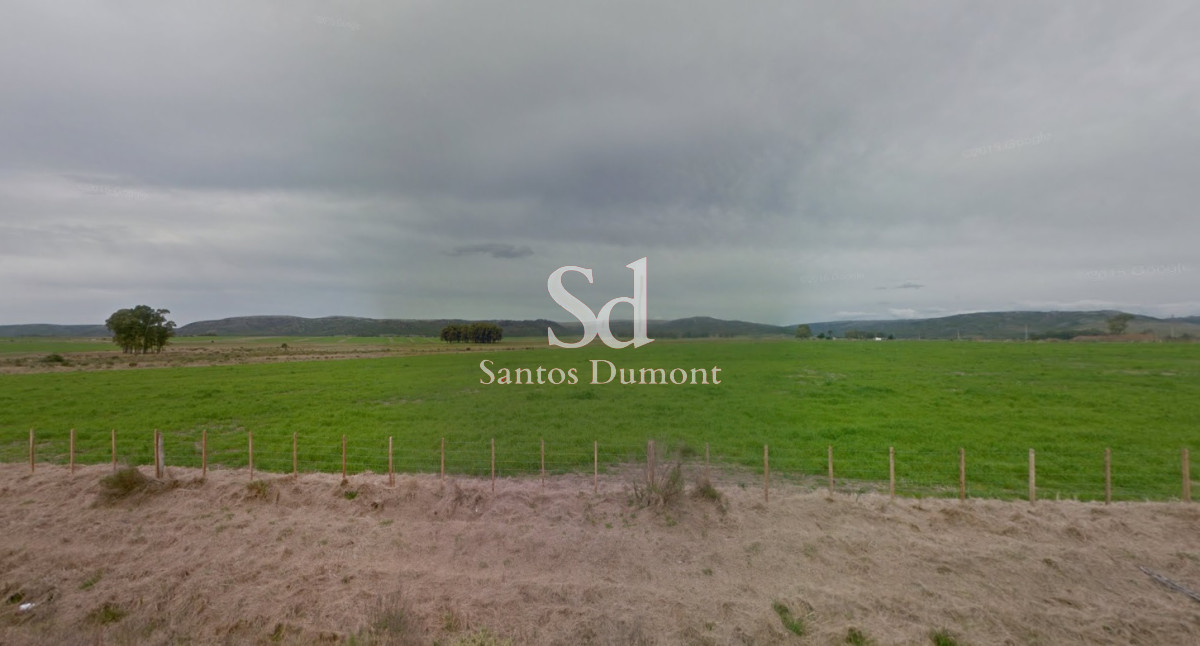Campo Ref.24708 - VENTA - ESPECTACULAR CAMPO 