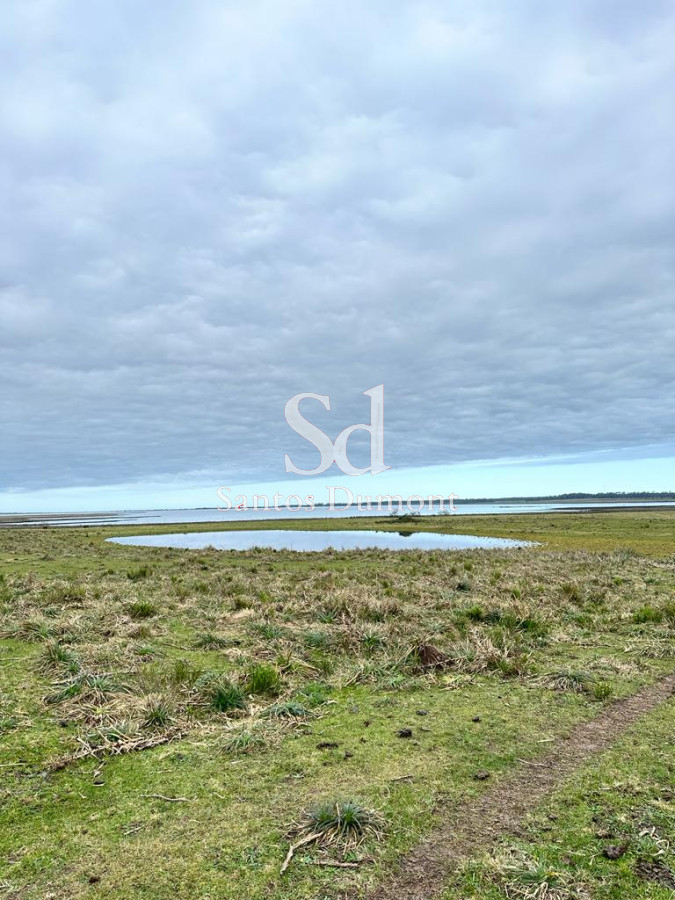 Campo Ref.24302 - VENTA - JOSE IGNACIO