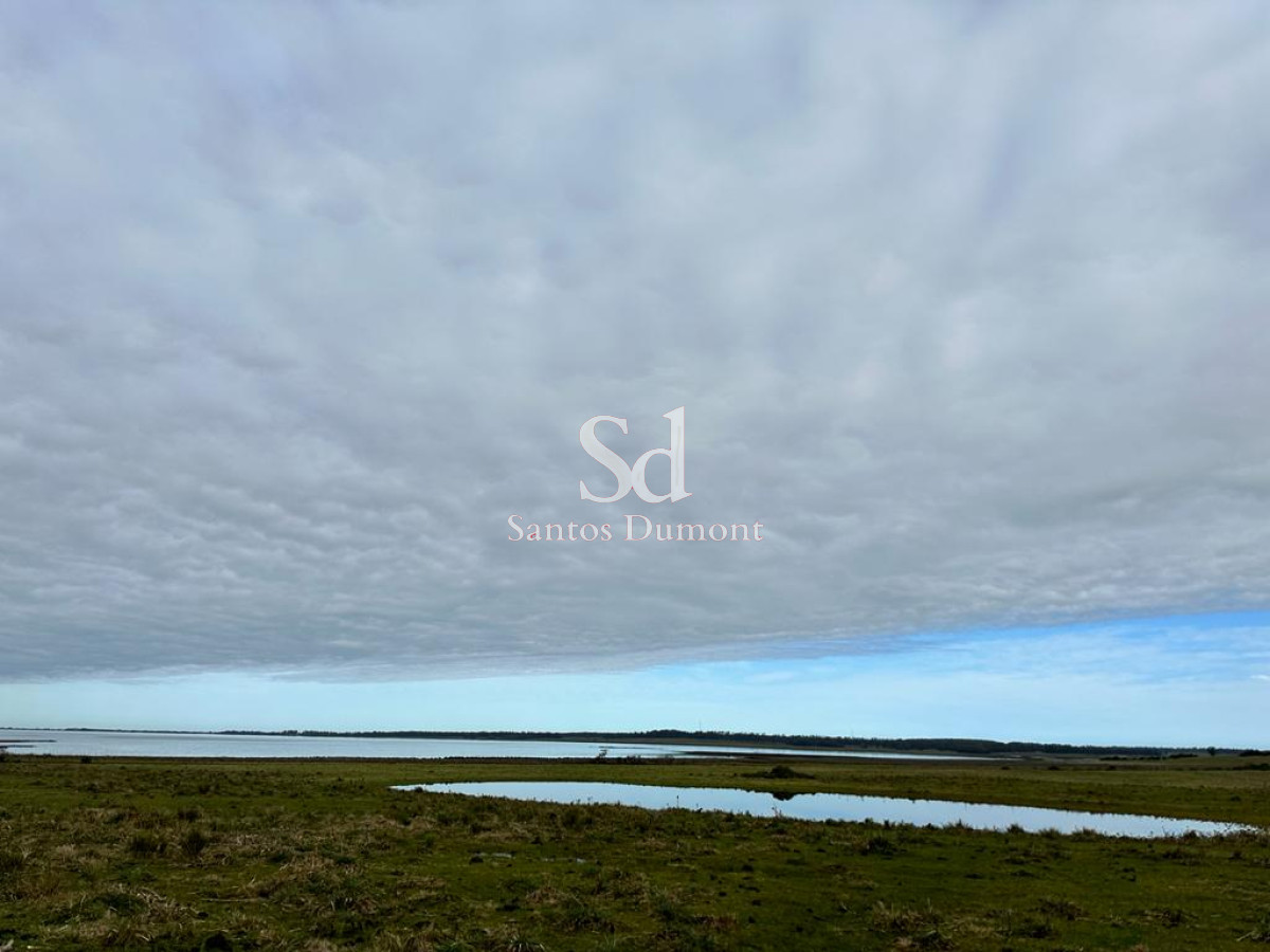 Campo Ref.24302 - VENTA - JOSE IGNACIO