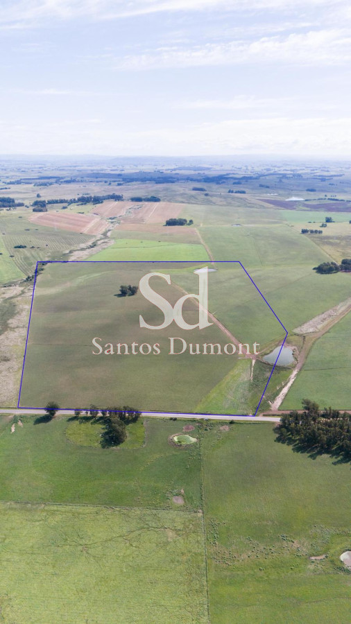 Venta Campo Ruta 104 Manantiales - GoPunta - Portal Inmobiliario de Punta del Este - Maldonado