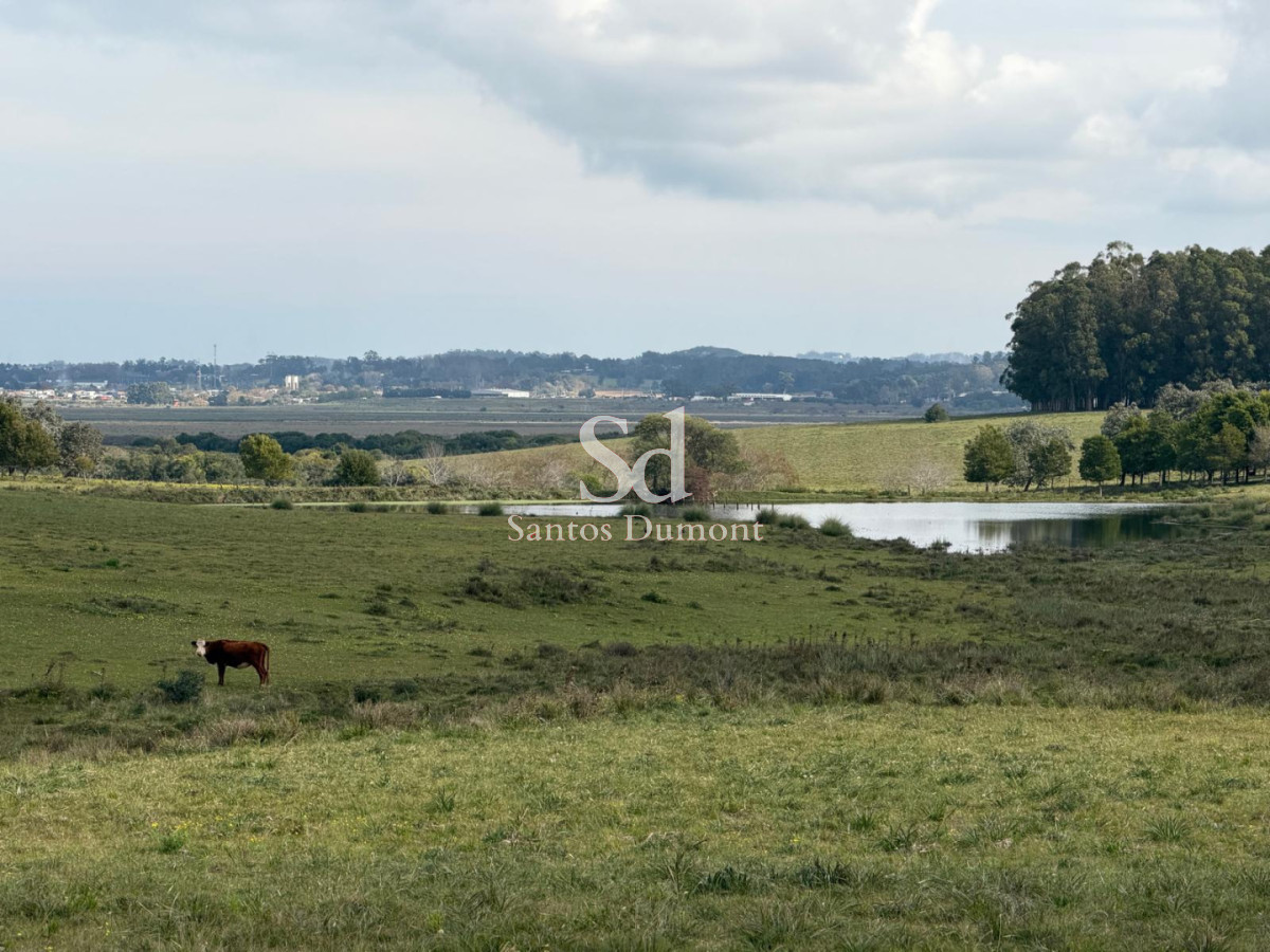 Campo Ref.25784 - EXCELENTE CAMPO EN VENTA