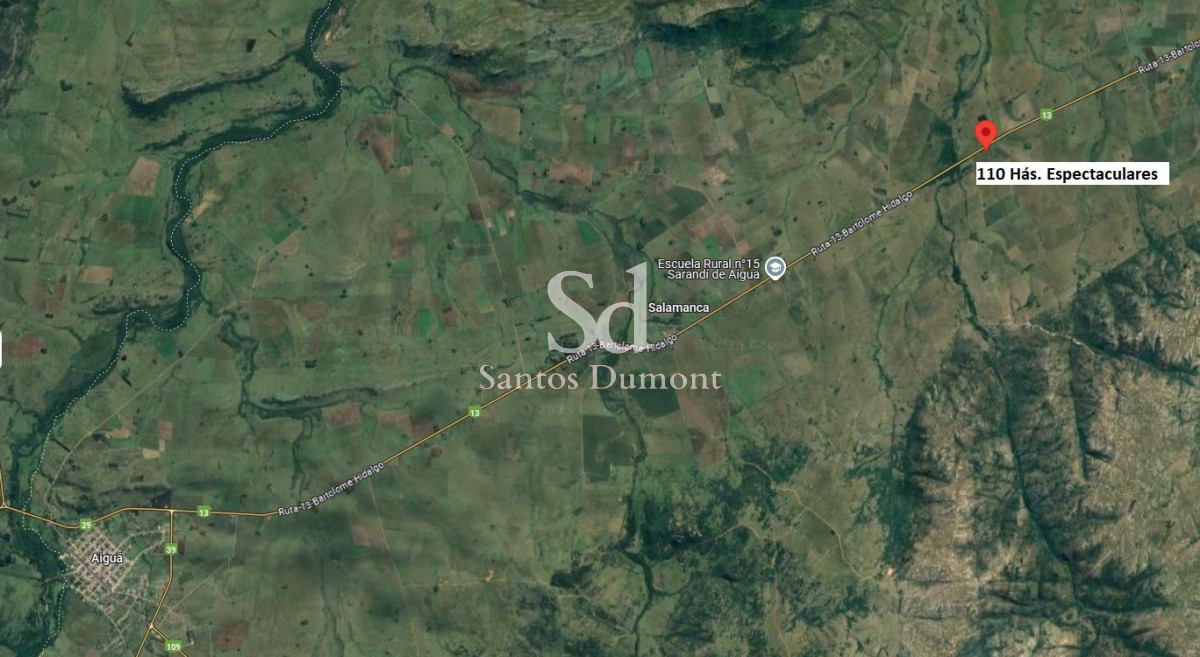 Campo Ref.24708 - VENTA - ESPECTACULAR CAMPO 