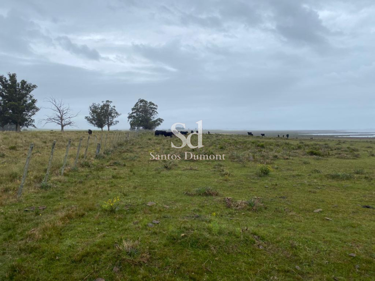 Campo Ref.24302 - VENTA - JOSE IGNACIO