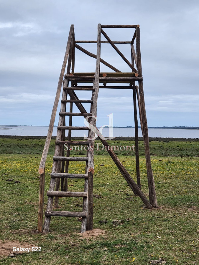 Campo Ref.24302 - VENTA - JOSE IGNACIO
