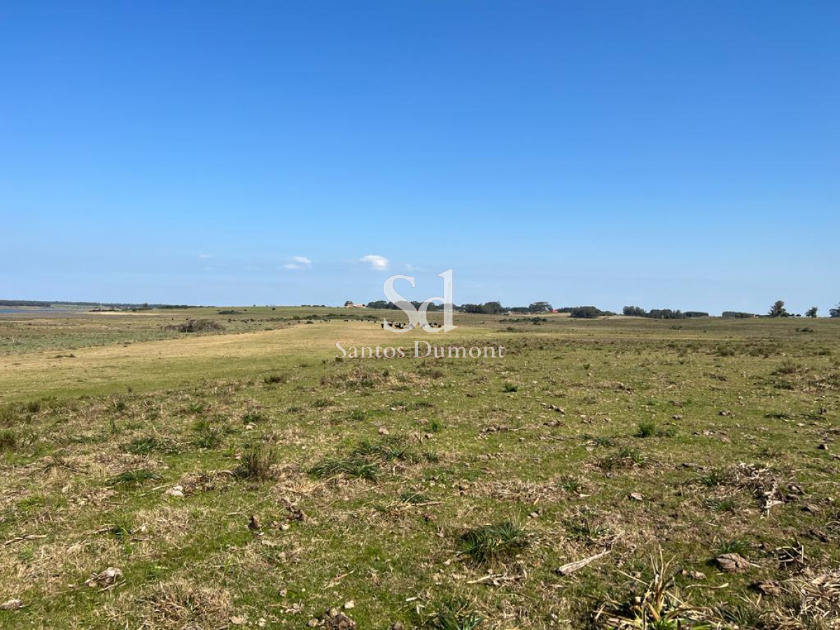Campo Ref.24302 - VENTA - JOSE IGNACIO