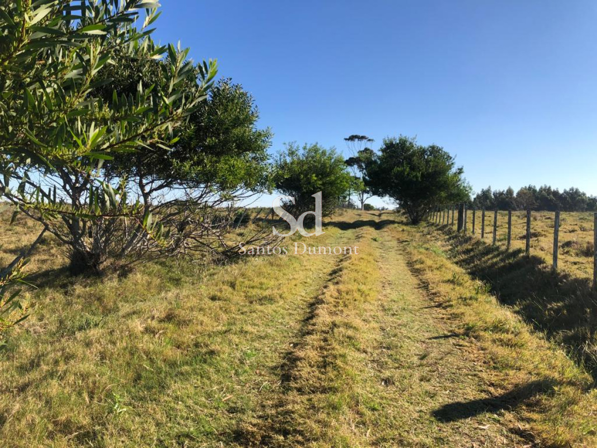 Campo Ref.24500 - CAMPO EN VENTA