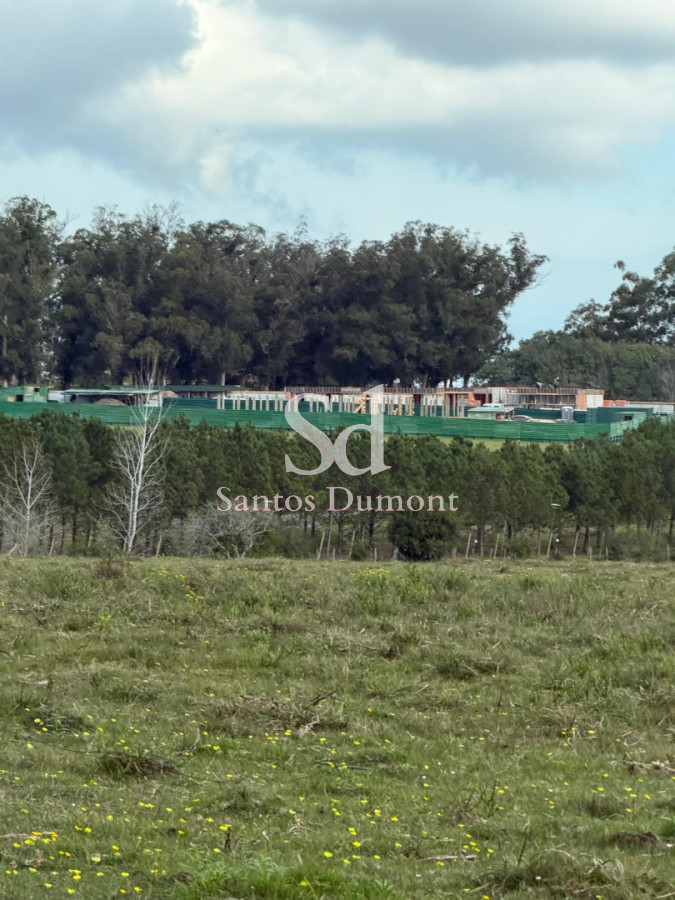 Campo Ref.25784 - EXCELENTE CAMPO EN VENTA