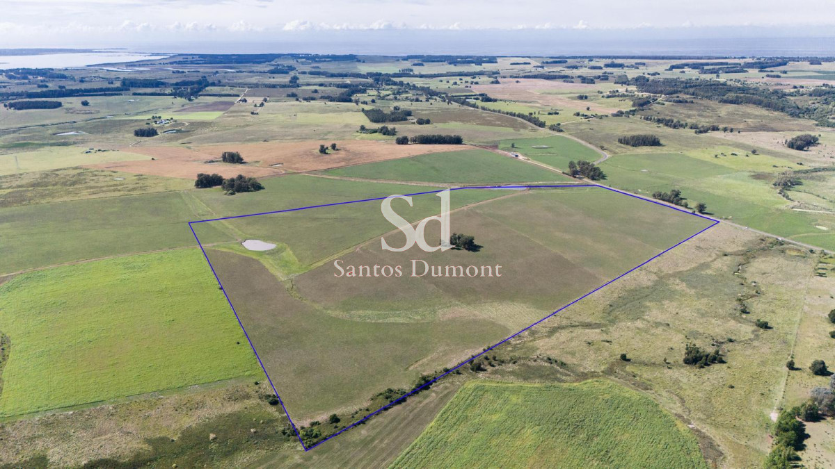 Venta Campo Ruta 104 Manantiales - GoPunta - Portal Inmobiliario de Punta del Este - Maldonado